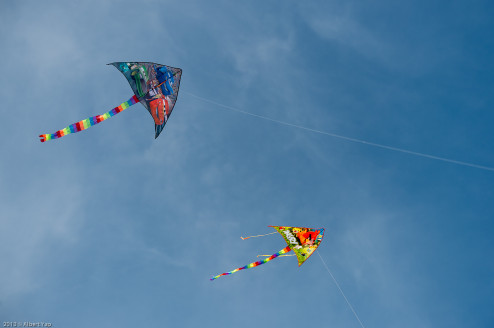 Kites day